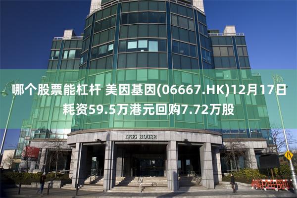 哪个股票能杠杆 美因基因(06667.HK)12月17日耗资59.5万港元回购7.72万股