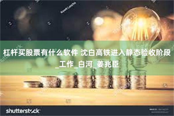 杠杆买股票有什么软件 沈白高铁进入静态验收阶段_工作_白河_姜兆臣