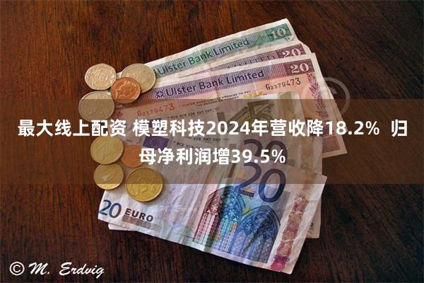 最大线上配资 模塑科技2024年营收降18.2%  归母净利润增39.5%