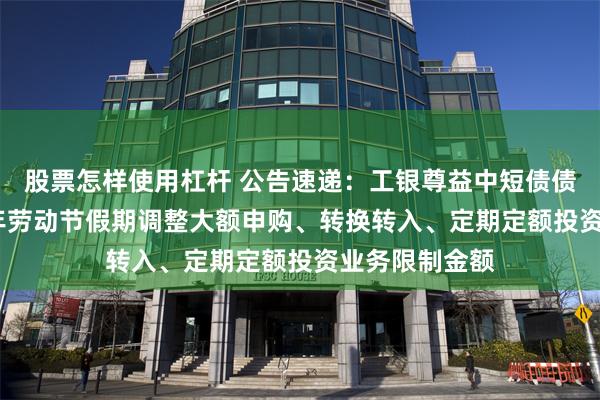 股票怎样使用杠杆 公告速递：工银尊益中短债债券基金2025年劳动节假期调整大额申购、转换转入、定期定额投资业务限制金额