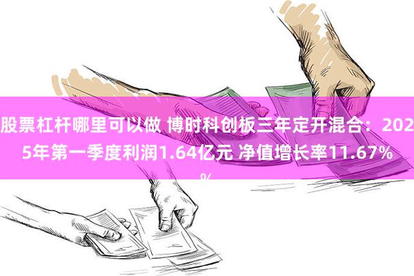 股票杠杆哪里可以做 博时科创板三年定开混合：2025年第一季度利润1.64亿元 净值增长率11.67%