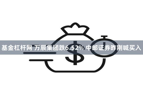 基金杠杆网 万辰集团跌6.52% 中邮证券昨刚喊买入