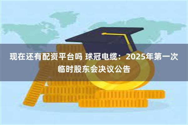 现在还有配资平台吗 球冠电缆：2025年第一次临时股东会决议公告