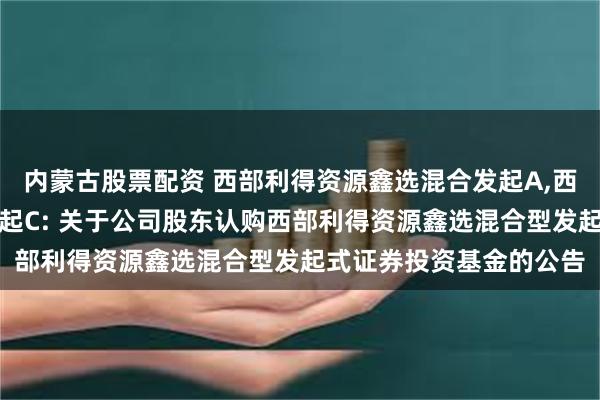 内蒙古股票配资 西部利得资源鑫选混合发起A,西部利得资源鑫选混合发起C: 关于公司股东认购西部利得资源鑫选混合型发起式证券投资基金的公告