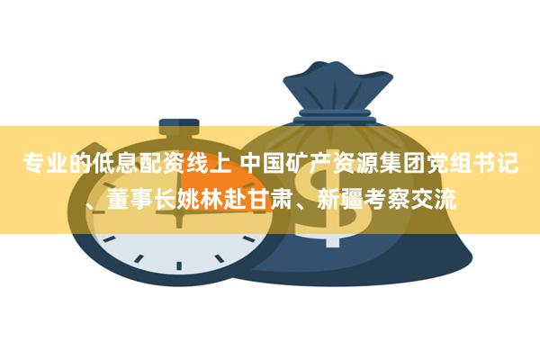 专业的低息配资线上 中国矿产资源集团党组书记、董事长姚林赴甘肃、新疆考察交流