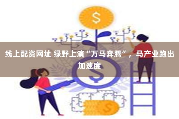 线上配资网址 绿野上演“万马奔腾”，马产业跑出加速度