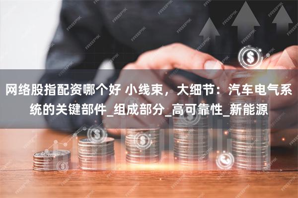 网络股指配资哪个好 小线束，大细节：汽车电气系统的关键部件_组成部分_高可靠性_新能源