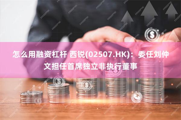 怎么用融资杠杆 西锐(02507.HK)：委任刘仲文担任首席独立非执行董事